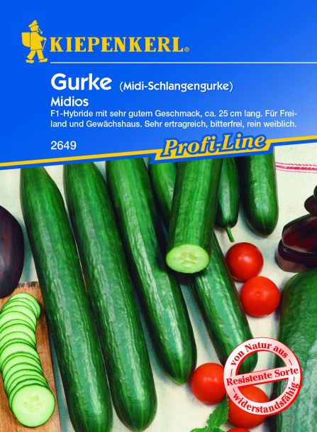 Midi-Schlangengurken 'Midios' F1