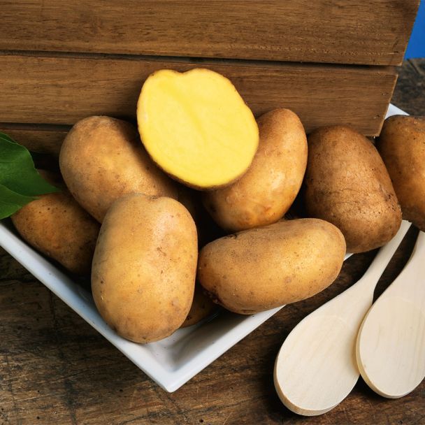 Hansa, Mittelfrüh bis Mittelspät, 2,5 kg (1 kg / € 3,42)