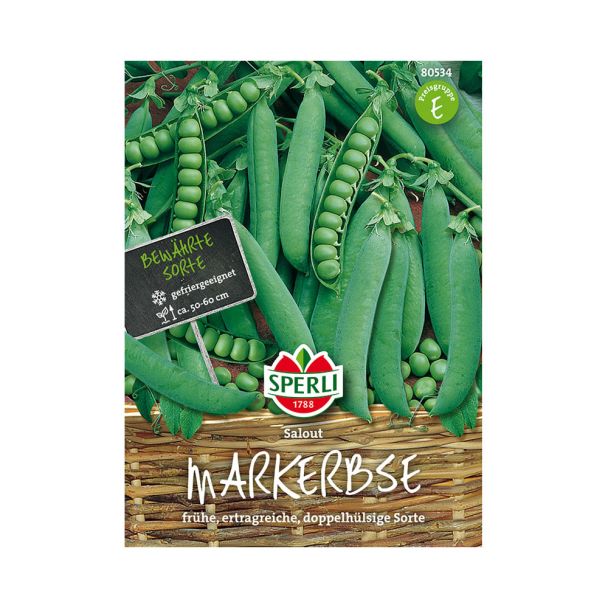 Markerbse 'Salout'
