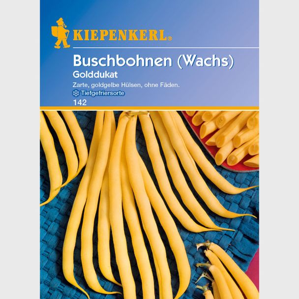 Buschbohnen 'Golddukat'