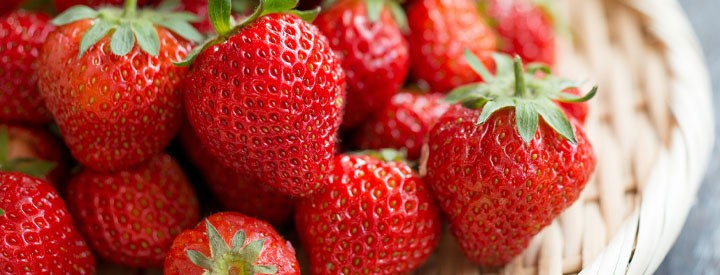 Obst Ahrens Sieberz Pflanzenversand Gartenbedarf