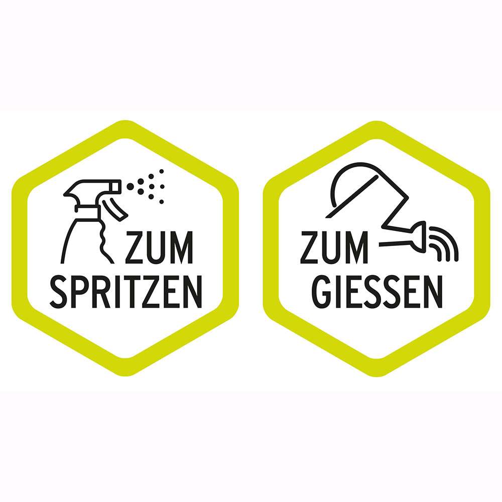 dekorative übertöpfe für zimmerpflanzen Übertopf Anthrazit aus Bio-Faser kaufen