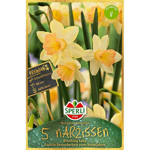 Sperli Premium Narcisssus Blushing Lady