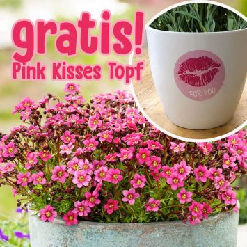 BIO Pixi Pan – Der rote Tausendblüher