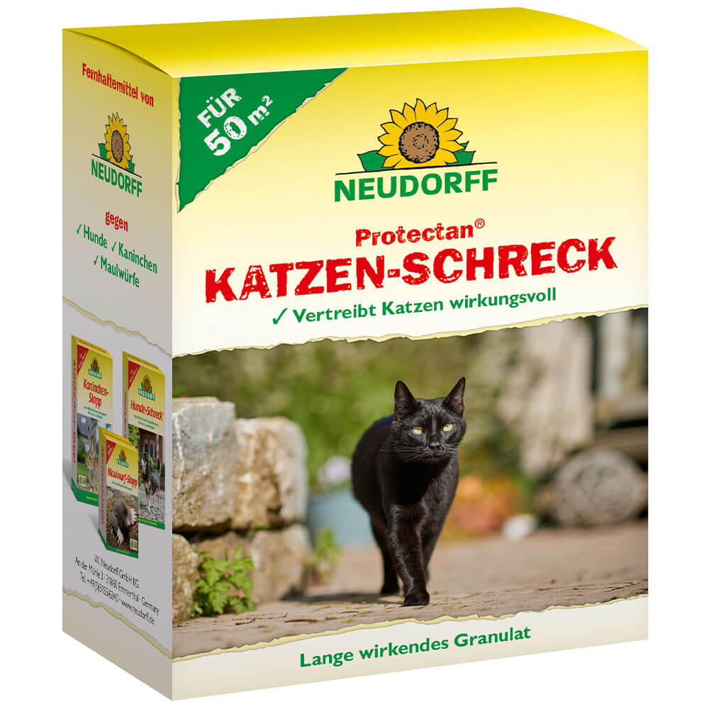 zimmerpflanzen kräuter Kräuter Trio main image 0