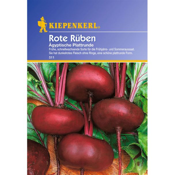 Rote Rüben 'Ägypt. Plattrunde'