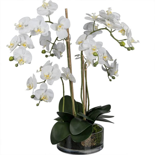 Kunstblume Orchidee in stilvoller Glasschale