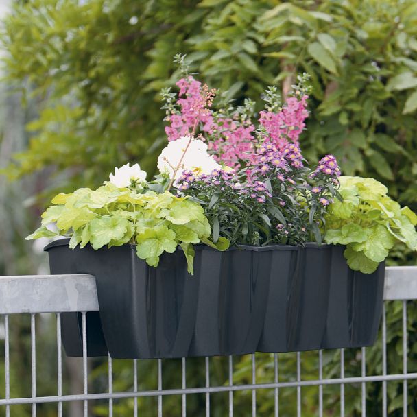 Crown Geländer-Blumenkasten, anthrazit