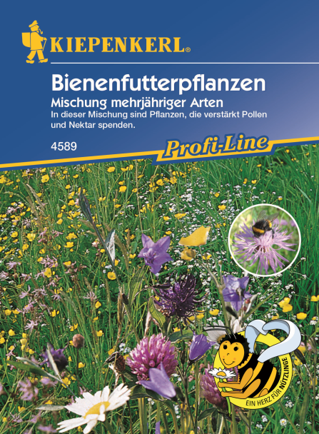 Bienenfutterpflanzen 'Mischung, mehrjährig'
