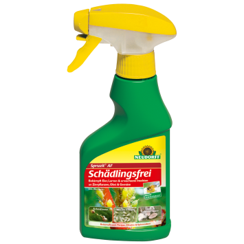 Spruzit® AF Schädlingsfrei, 250ml (1 L / € 43,96)