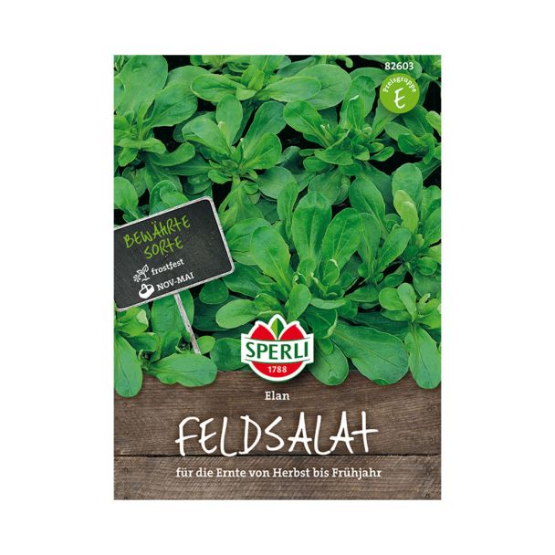 Feldsalat 'Elan'