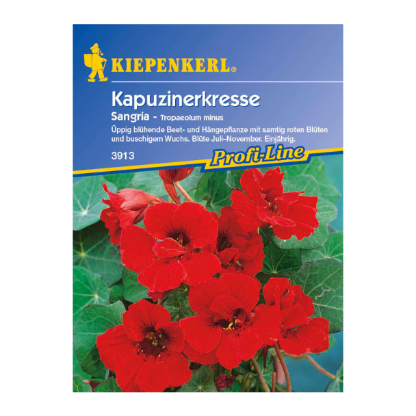 Kapuzinerkresse 'Sangria'