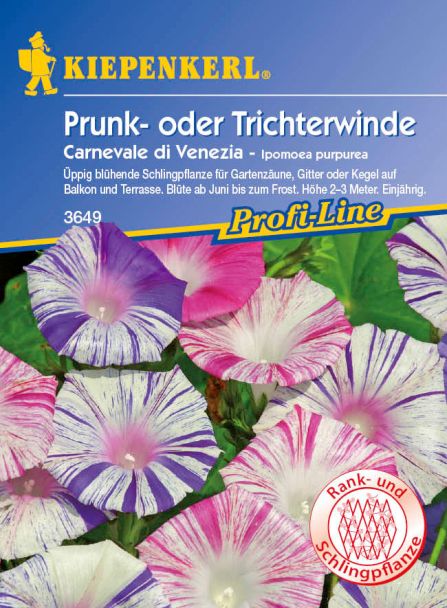 Prunk- oder Trichterwinde 'Carneval di Venezia'