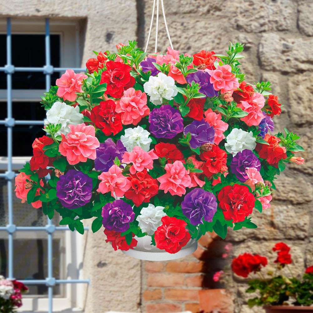 deko zu hause Deko-Haus Bellunas Künstlicher Blumenstrauß | Chic