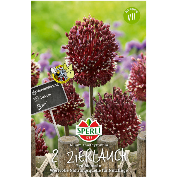 Zierlauch Red Mohican