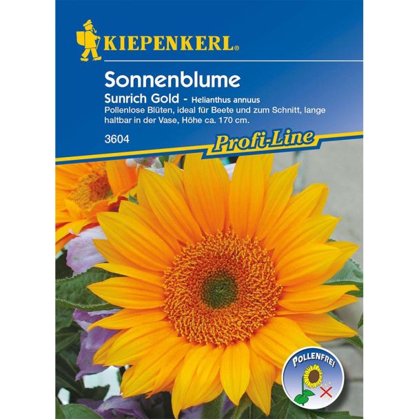 Sonnenblume 'Sunrich Orange' F1