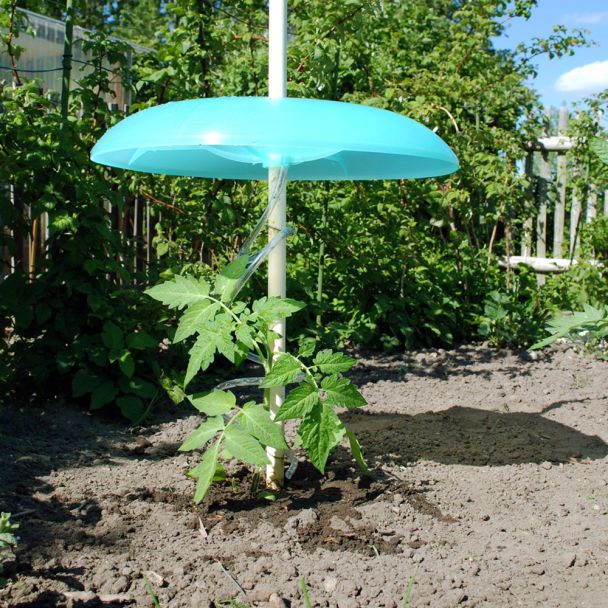 Basis-Set Tomatenhut: 3 Tomatenhüte + 3 Schläuche