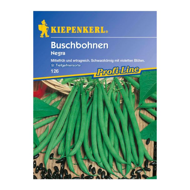 Buschbohnen 'Negra'