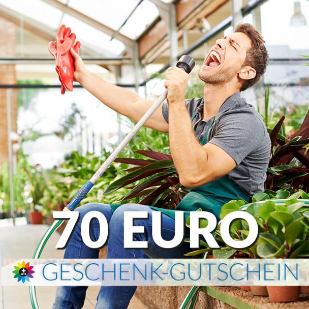 Geschenk-Gutschein, Wert 70 Euro Sänger