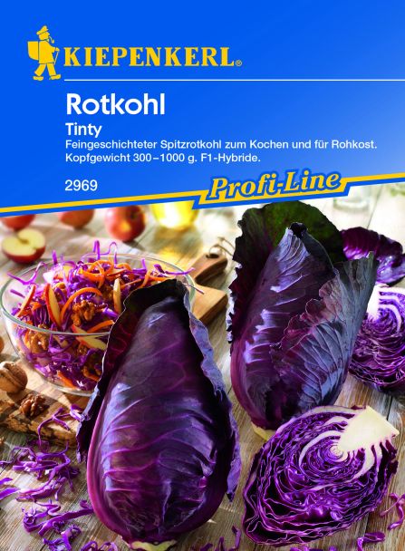 Rotkohl 'Tinty' - Spitzrotkohl, F1