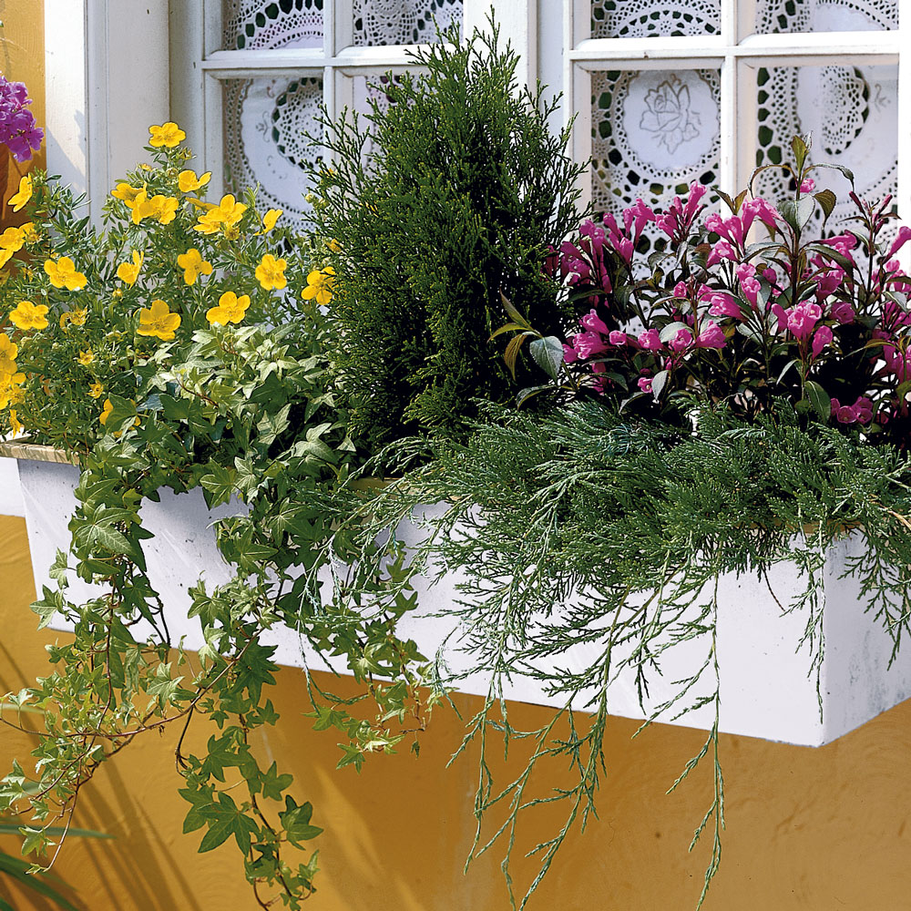 xora blumenständer Blumenständer aus MDF im Set main image 1