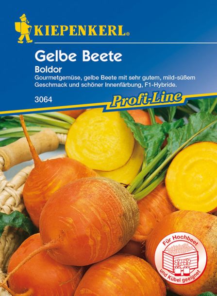 Gelbe Beete 'Boldor' - F1