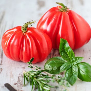 Ochsenherz tomaten samen kaufen - Vertrauen Sie dem Testsieger unserer Experten