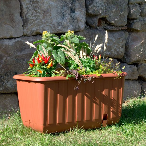 Pflanzkasten Ambizioso ohne Rollen Terracotta 65x35x33 cm