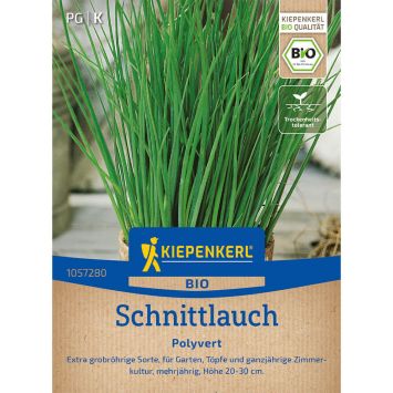 Bio-Saatgut Schnittlauch