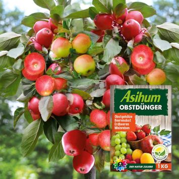 Apfel-Familienbaum Happy Family + Obstdünger (Sparset)