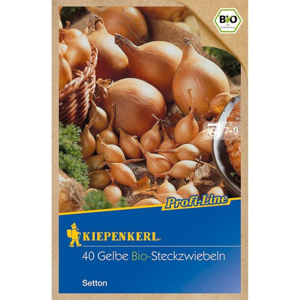 Steckzwiebel BIO Setton