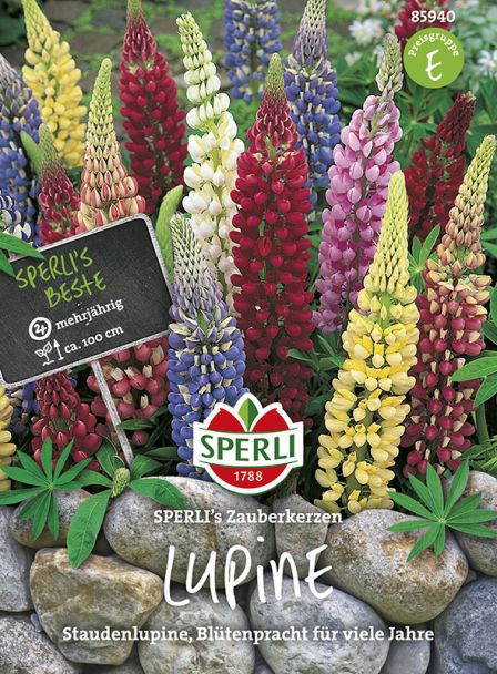 Staudenlupinen 'SPERLI´s Zauberkerzen'