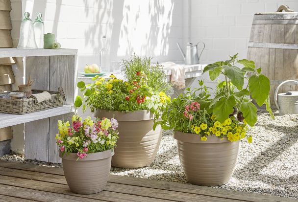 'Country Star®' Living Taupe 25 cm Pflanzgefäß