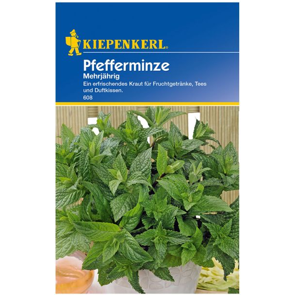 Pfefferminze
