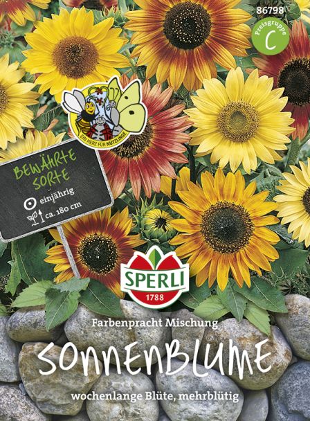 Sonnenblume 'Farbenpracht Mischung'