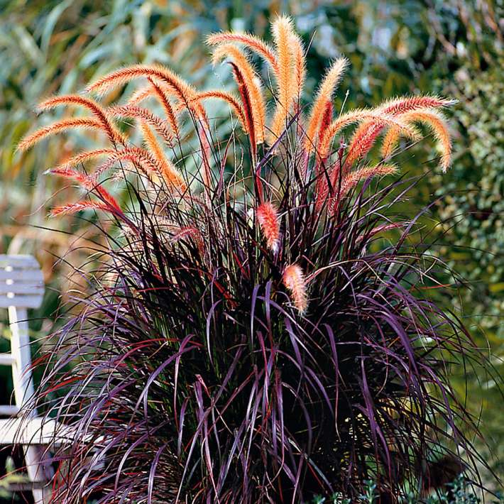 rattan optik blumenkasten Balkonkasten BEGONIA in Rattan-Optik mit Stahlaufhängung, Breite 56 cm –  Kreher Technik main image 1