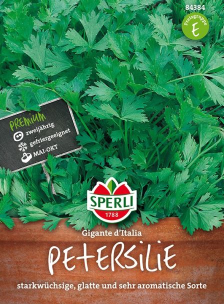 Petersilie 'Gigante d´Italia'