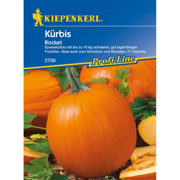 Kürbis 'Rocket' F1