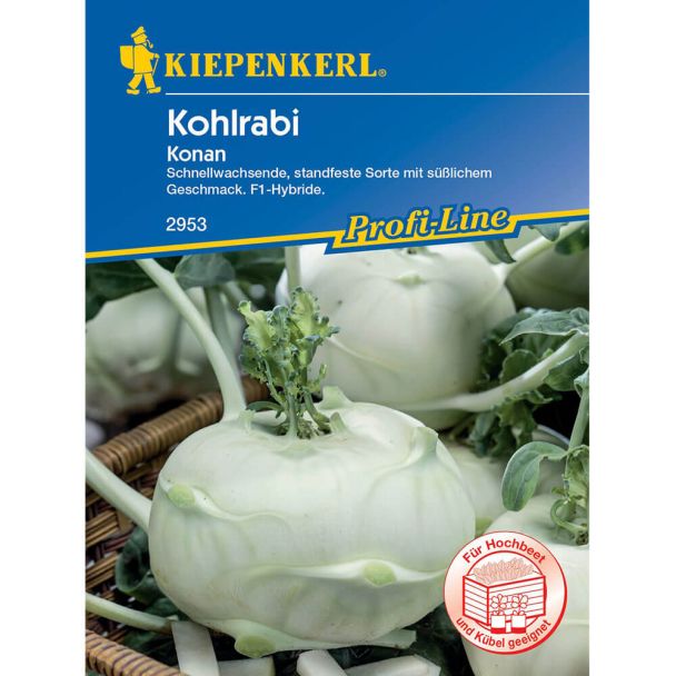 Kohlrabi Konan, F1