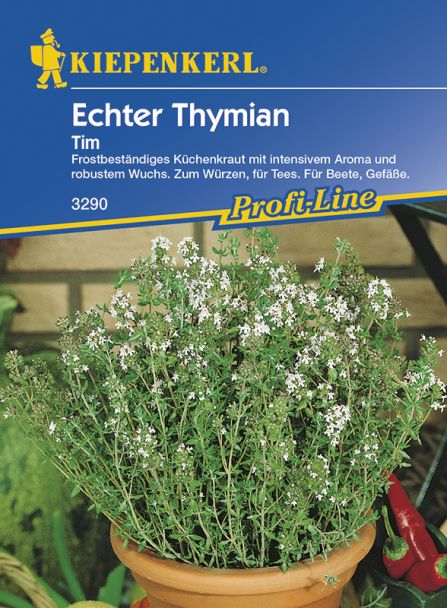 Echter Thymian 'Tim'