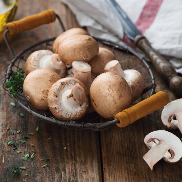 BIO Pilzzuchtset Steinchampignon Fertigkultur