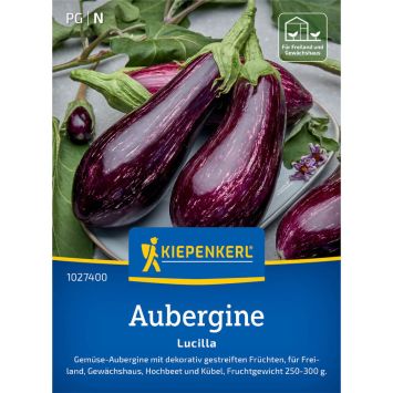 Auberginensamen Lucilla, F1