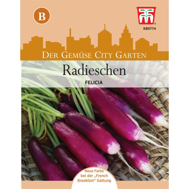 Radieschen Felicia