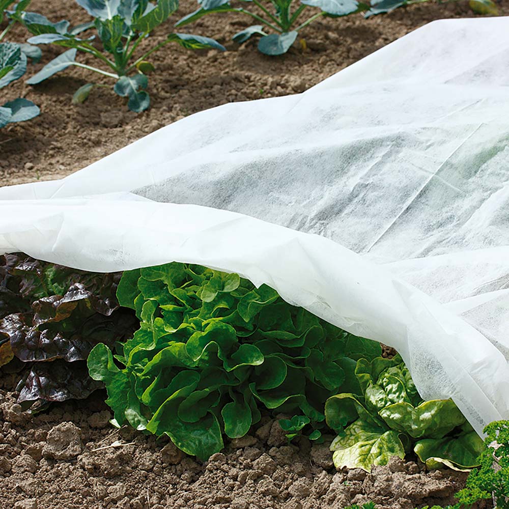 Bio Gartenvlies 1,50m x 8m kaufen Ahrens+Sieberz Pflanzenversand