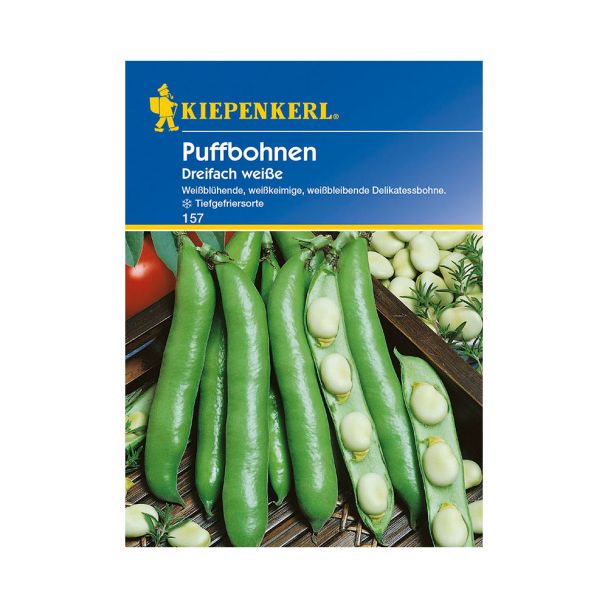 Puffbohnen 'Dreifach Weiße'