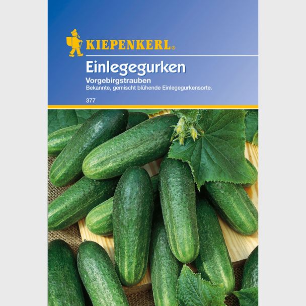 Einlege- / Essiggurke Vorgebirgstrauben