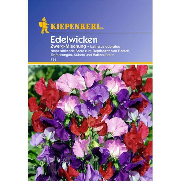 Edelwicken 'Zwerg-Mischung'