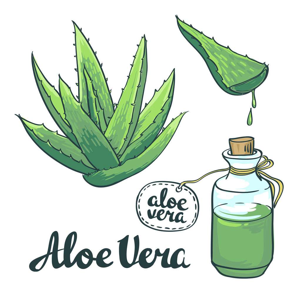 aloe vera toilettenpapier Natracare Bio-Feuchtigkeitstoilettenpapier mit Aloe Vera und Hamamelis main image 0