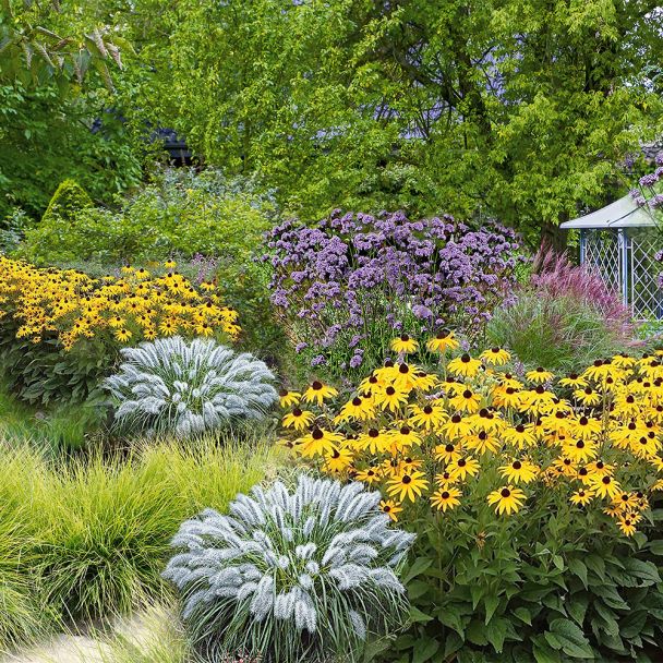 Staudengarten Erste Liebe - 12 Prachtstauden im Set