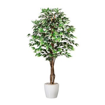 Kunstpflanze Ficus Benjamini mit Naturstamm grün-weiß (ca. 150 cm)